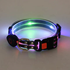 Rechargeable LED Dog Collars and Leashes