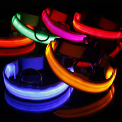 LED Adjustable Dog Collar - Waterproof