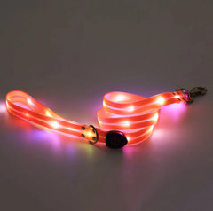 Rechargeable LED Dog Collars and Leashes