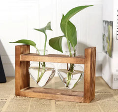 Heart-Shaped Glass Vases with Wood Stand