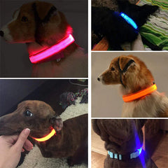 LED Adjustable Dog Collar - Waterproof