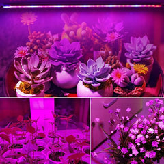 Grow Light - LED Phytolamp