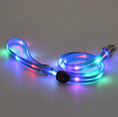 Rechargeable LED Dog Collars and Leashes