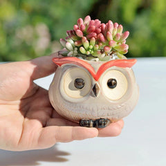 Ceramic Owl-Shaped Plant Pots