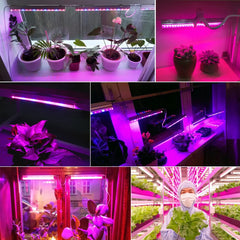 Grow Light - LED Phytolamp