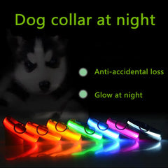 LED Adjustable Dog Collar - Waterproof