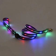 Rechargeable LED Dog Collars and Leashes