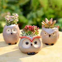 Ceramic Owl-Shaped Plant Pots