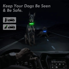 LED Adjustable Dog Collar - Waterproof