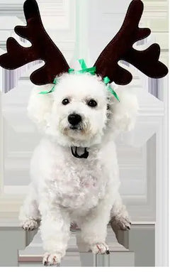 Christmas Antlers for Dogs and Cats