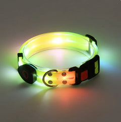 Rechargeable LED Dog Collars and Leashes