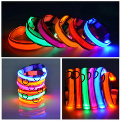 LED Adjustable Dog Collar - Waterproof