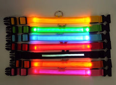 LED Adjustable Dog Collar - Waterproof