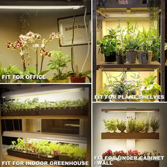 Grow Lights - LED