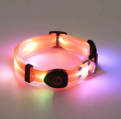 Rechargeable LED Dog Collars and Leashes