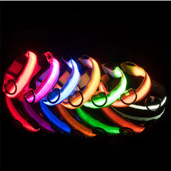 LED Adjustable Dog Collar - Waterproof