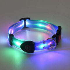 Rechargeable LED Dog Collars and Leashes