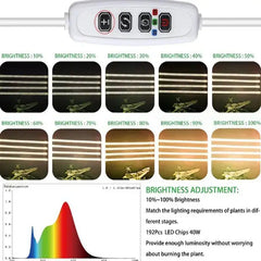 Grow Lights - LED