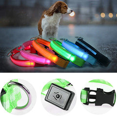 LED Adjustable Dog Collar - Waterproof