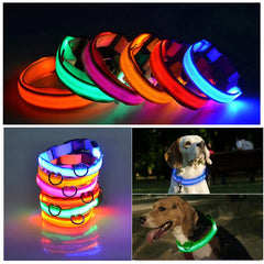 LED Adjustable Dog Collar - Waterproof