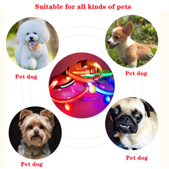 LED Adjustable Dog Collar - Waterproof