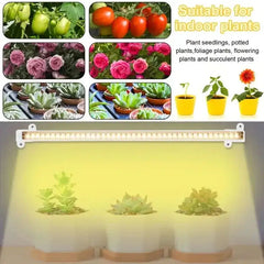 Grow Lights - LED