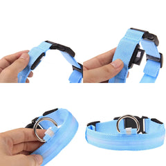 LED Adjustable Dog Collar - Waterproof