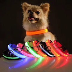 LED Adjustable Dog Collar - Waterproof