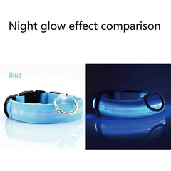 LED Adjustable Dog Collar - Waterproof